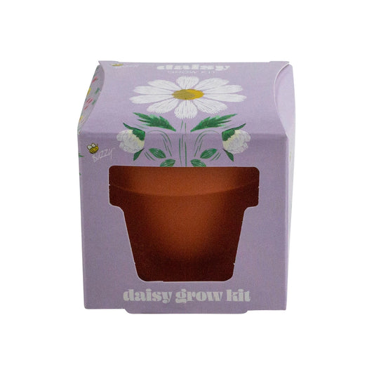 Buzzy- Mini Daisy Grow Kit