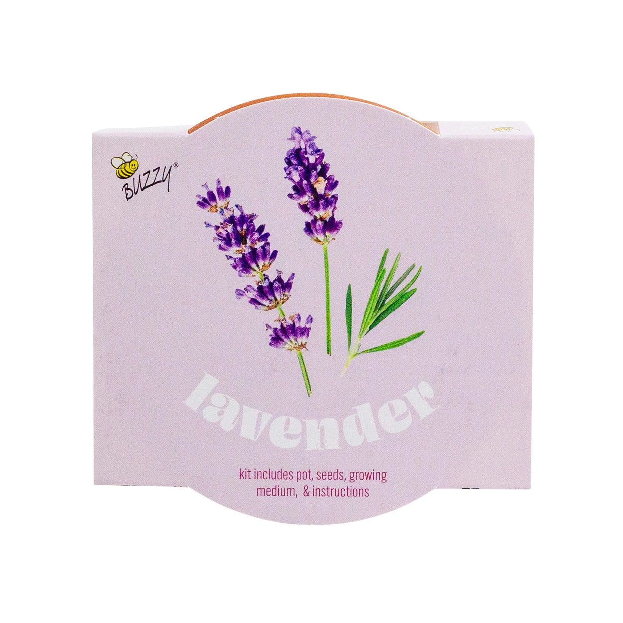 Buzzy-Lavender Grow Kit