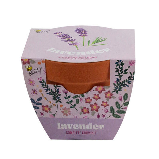Buzzy-Lavender Grow Kit