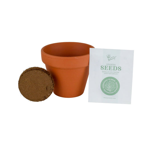 Buzzy-Lavender Grow Kit