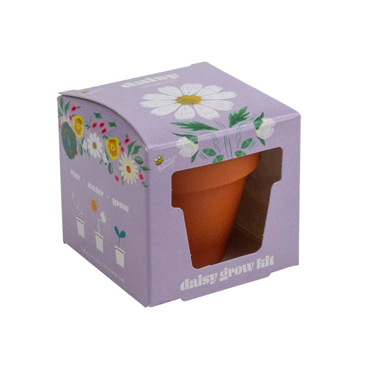 Buzzy- Mini Daisy Grow Kit